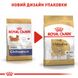 ROYAL CANIN CHIHUAHUA ADULT 500 г