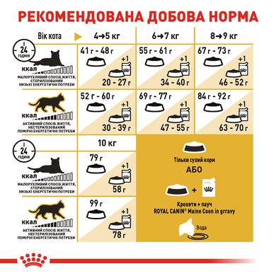 ROYAL CANIN MAINECOON ADULT 10 кг
