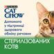 Вологий корм CAT CHOW Sterilised для дорослих стерилізованих котів, шматочки у підливці, з ягням та зеленою квасолею, 85 г
