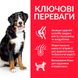 Hill’s Science Plan Adult Large Breed Chicken 14 кг