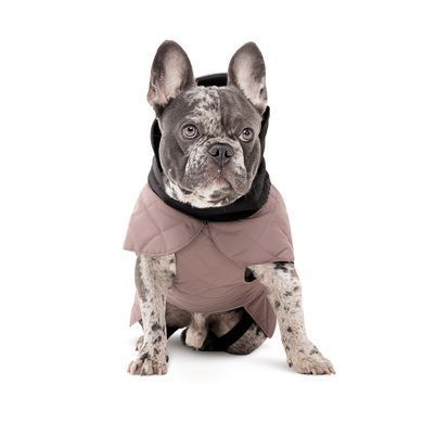 Одяг Одяг Попона Pet Fashion Max для собак S2