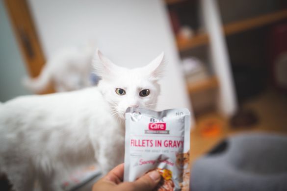 Вологий корм Brit Care Cat Pouch для котів, філе в соусі, пікантний лосось, 85 г