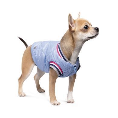 Одяг Одяг Бомбер Pet Fashion &laquo;Spike&raquo; для собак, розмір S, блакитний