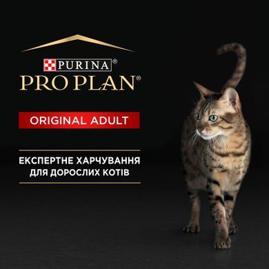 Сухий корм PRO PLAN Adult 1+ Renal Plus для дорослих котів, з куркою, 10 кг