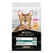 Сухий корм PRO PLAN Adult 1+ Renal Plus для дорослих котів, з куркою, 10 кг