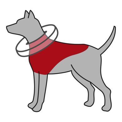 Амуніція для собак Амуніція для собак Захисний комір Trixie надувний для собак L&ndash;XL 66&ndash;78 см х 12 см блакитний