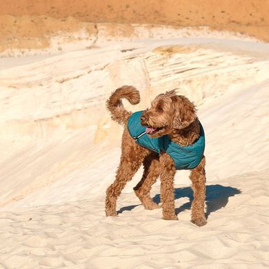Одяг Одяг Жилет Pet Fashion &laquo;E.Vest&raquo; для собак, розмір M, морська хвиля