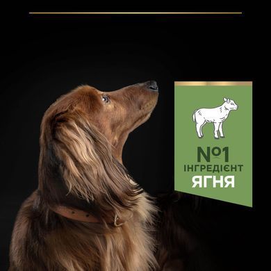 Сухий корм PRO PLAN Small&Mini Adult 1+ Sensitive Digestion для дорослих собак дрібних порід, з чутливим травленням, з ягням, 3 кг