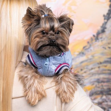 Одяг Одяг Бомбер Pet Fashion &laquo;Spike&raquo; для собак, розмір XS, блакитний