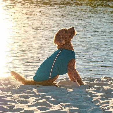 Одяг Одяг Жилет Pet Fashion &laquo;E.Vest&raquo; для собак, розмір M, морська хвиля