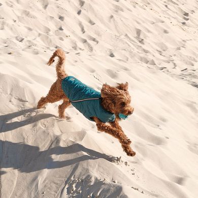 Одяг Одяг Жилет Pet Fashion &laquo;E.Vest&raquo; для собак, розмір M, морська хвиля