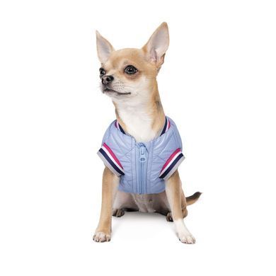 Одяг Одяг Бомбер Pet Fashion &laquo;Spike&raquo; для собак, розмір XS, блакитний