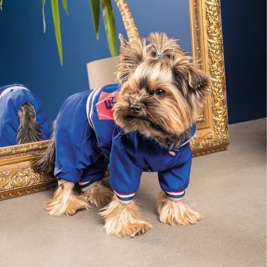 Одяг Одяг Дощовик Pet Fashion &laquo;Silver&raquo; для собак, розмір L, синій