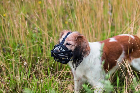 Амуніція для собак Амуніція для собак Намордник Trixie Muzzle Flex для собак, силіконовий, L-XL (чорний)