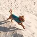 Одяг Одяг Жилет Pet Fashion &laquo;E.Vest&raquo; для собак, розмір M, морська хвиля