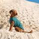 Одяг Одяг Жилет Pet Fashion &laquo;E.Vest&raquo; для собак, розмір M, морська хвиля