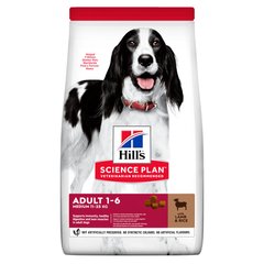 Hill’s Science Plan Adult Medium Breed Lamb & Rice 2,5 кг