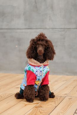 Одяг Одяг Костюм Pet Fashion Alisa для дівчинки розмір XS
