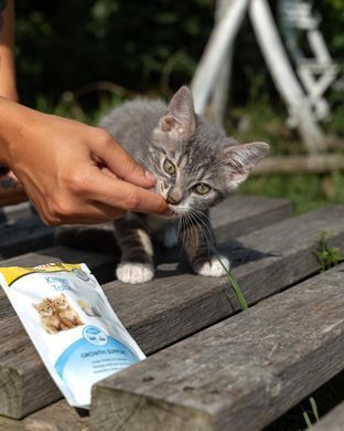 Ласощі для котів Вітамінізовані ласощі GimCat Every Day Kitten для кошенят, 40 г