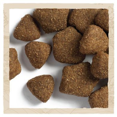 Сухий корм DOG CHOW Large Breed Adult 2+ для дорослих собак великих порід, з індичкою, 14 кг