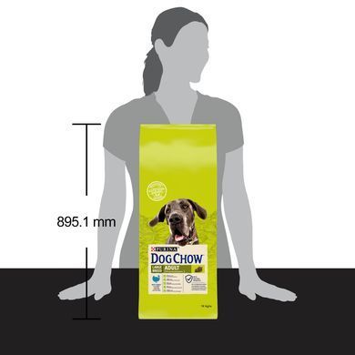 Сухий корм DOG CHOW Large Breed Adult 2+ для дорослих собак великих порід, з індичкою, 14 кг