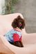 Одяг Одяг Костюм Pet Fashion Alisa для дівчинки розмір XS