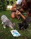 Ласощі для котів Вітамінізовані ласощі GimCat Every Day Kitten для кошенят, 40 г