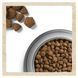 Сухий корм DOG CHOW Large Breed Adult 2+ для дорослих собак великих порід, з індичкою, 14 кг