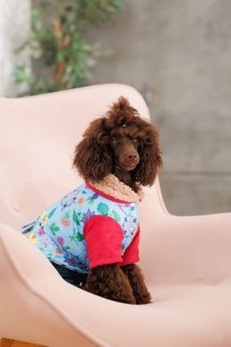 Одяг Одяг Костюм Pet Fashion Alisa для дівчинки розмір XS2
