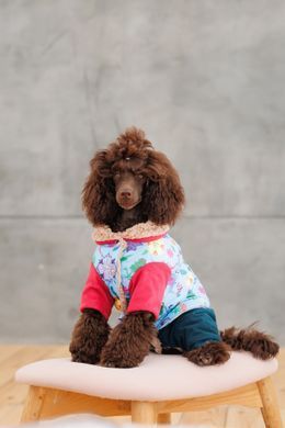 Одяг Одяг Костюм Pet Fashion Alisa для дівчинки розмір XS2