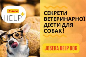 Josera Help Dog. Секрети ветеринарної дієти для собак