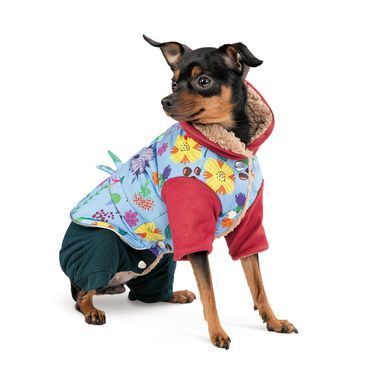 Одяг Одяг Костюм Pet Fashion Alisa для дівчинки розмір XS2