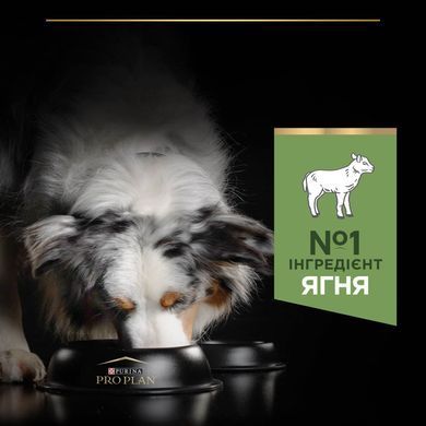 Сухий корм PRO PLAN Medium Adult 1+ Sensitive Digestion для дорослих собак середніх порід, з чутливим травленням, з ягням, 3 кг