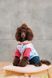 Одяг Одяг Костюм Pet Fashion Alisa для дівчинки розмір XS2