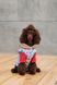 Одяг Одяг Костюм Pet Fashion Alisa для дівчинки розмір XS2