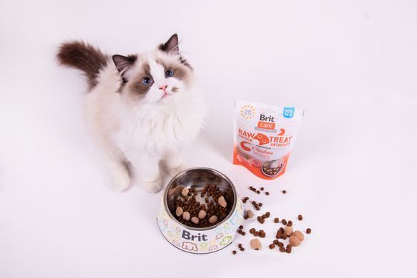 Ласощі Brit Care для котів Brit Raw Treat Indoor & Antistress Freeze-dried з куркою, 40 г