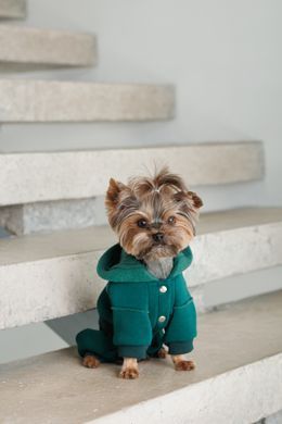 Одяг Одяг Костюм Pet Fashion Berry для собак розмір L