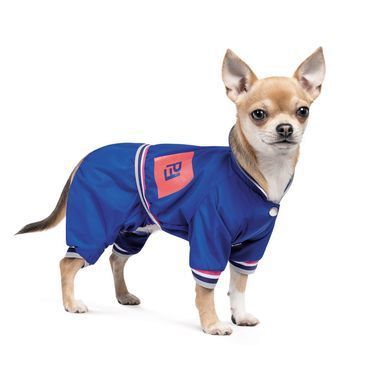 Одяг Одяг Дощовик Pet Fashion &laquo;Silver&raquo; для собак, розмір XS, синій