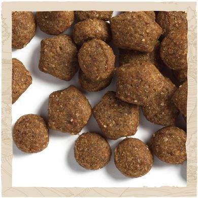 Сухий корм DOG CHOW Puppy для цуценят до року, з ягням, 2,5 кг