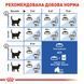 Корм для домашніх котів ROYAL CANIN INDOOR 4.0 кг