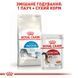 Корм для домашніх котів ROYAL CANIN INDOOR 4.0 кг
