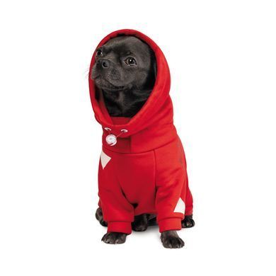 Одяг Одяг Худі Pet Fashion &laquo;Snoodie&raquo; для собак, розмір M, червоний