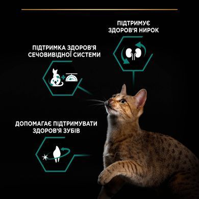 Сухий корм PRO PLAN Sterilised Adult 1+ Renal Plus для дорослих стерилізованих котів, з індичкою, 10 кг