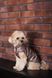 Одяг Одяг Жилет Pet Fashion Hardy для собак розмір L