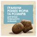 Сухий корм DOG CHOW Puppy для цуценят до року, з ягням, 14 кг