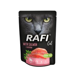 Вологий корм для дорослих котів Dolina Noteci RAFI cat з лососем, 300 г