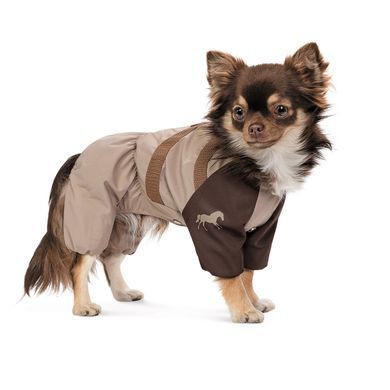 Одяг Одяг Дощовик Pet Fashion Mustang для собак розмір S2
