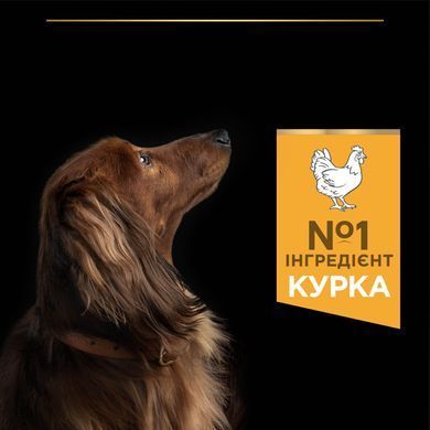 Сухий корм PRO PLAN Small&Mini Adult 1+ Everyday Nutrion для дорослих собак дрібних порід, з куркою, 7 кг
