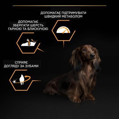 Сухий корм PRO PLAN Small&Mini Adult 1+ Everyday Nutrion для дорослих собак дрібних порід, з куркою, 7 кг