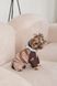 Одяг Одяг Дощовик Pet Fashion Mustang для собак розмір S2